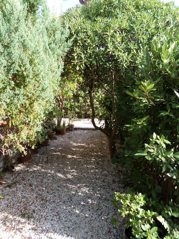 לידו די קאמאיורה Le Midi Versilia מראה חיצוני תמונה